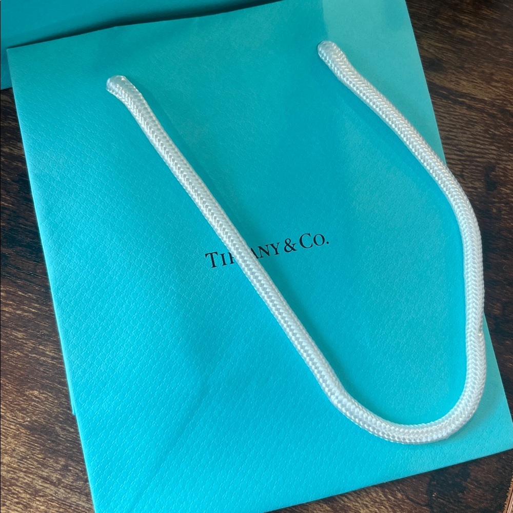 5 Tiffany & Co. Gift Bags with White Rope Handles - - Picture 2 of 5